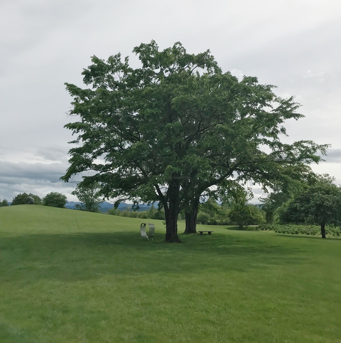 f:id:asacafe:20190707091652j:plain f:id:asacafe:20190707091652j:plain