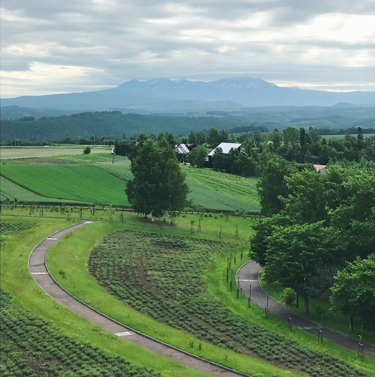 f:id:asacafe:20190707233047j:plain f:id:asacafe:20190707233047j:plain