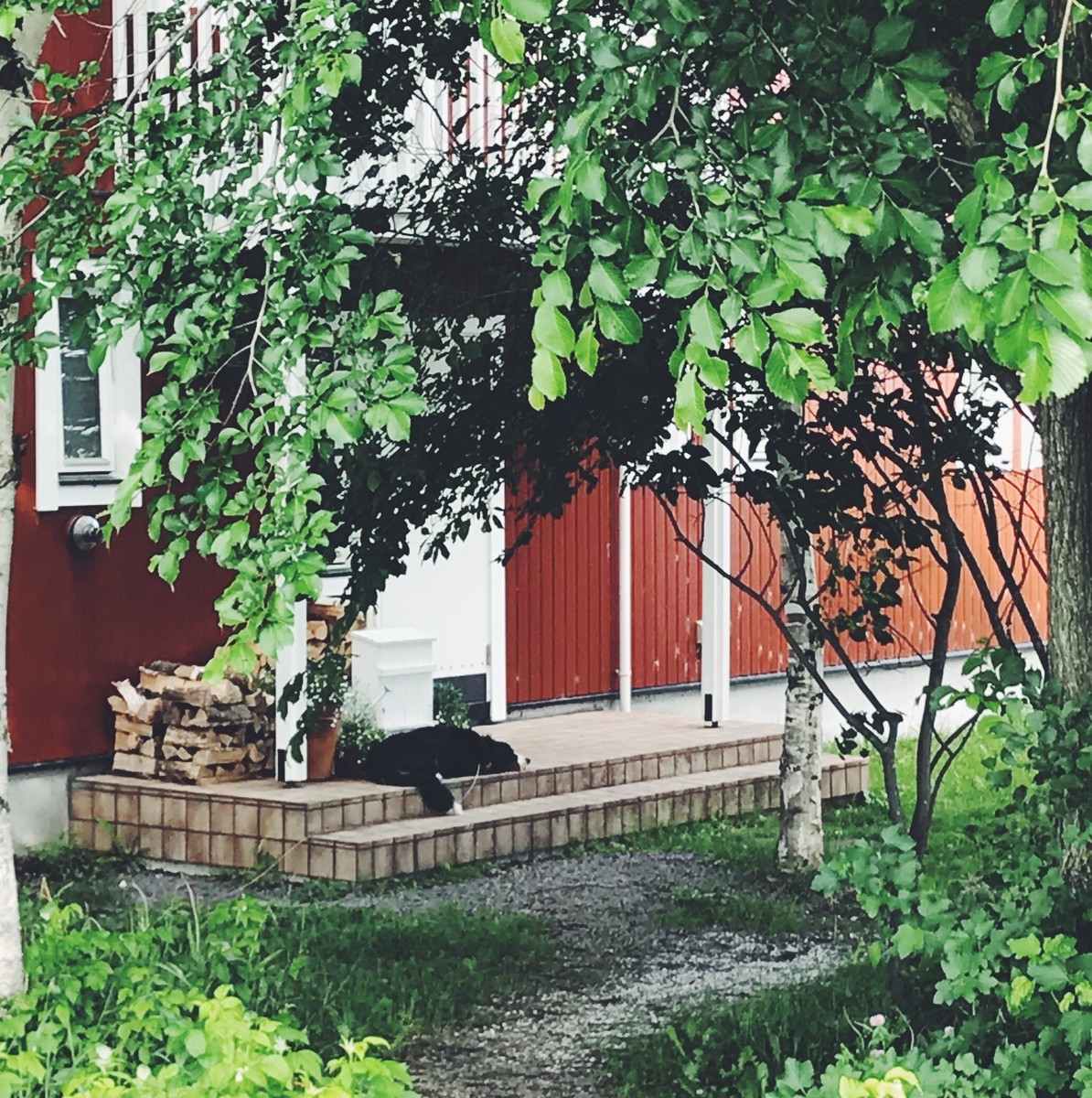 f:id:asacafe:20190707233404j:plain f:id:asacafe:20190707233404j:plain