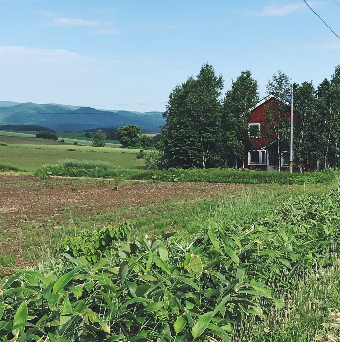 f:id:asacafe:20190707233459j:plain f:id:asacafe:20190707233459j:plain
