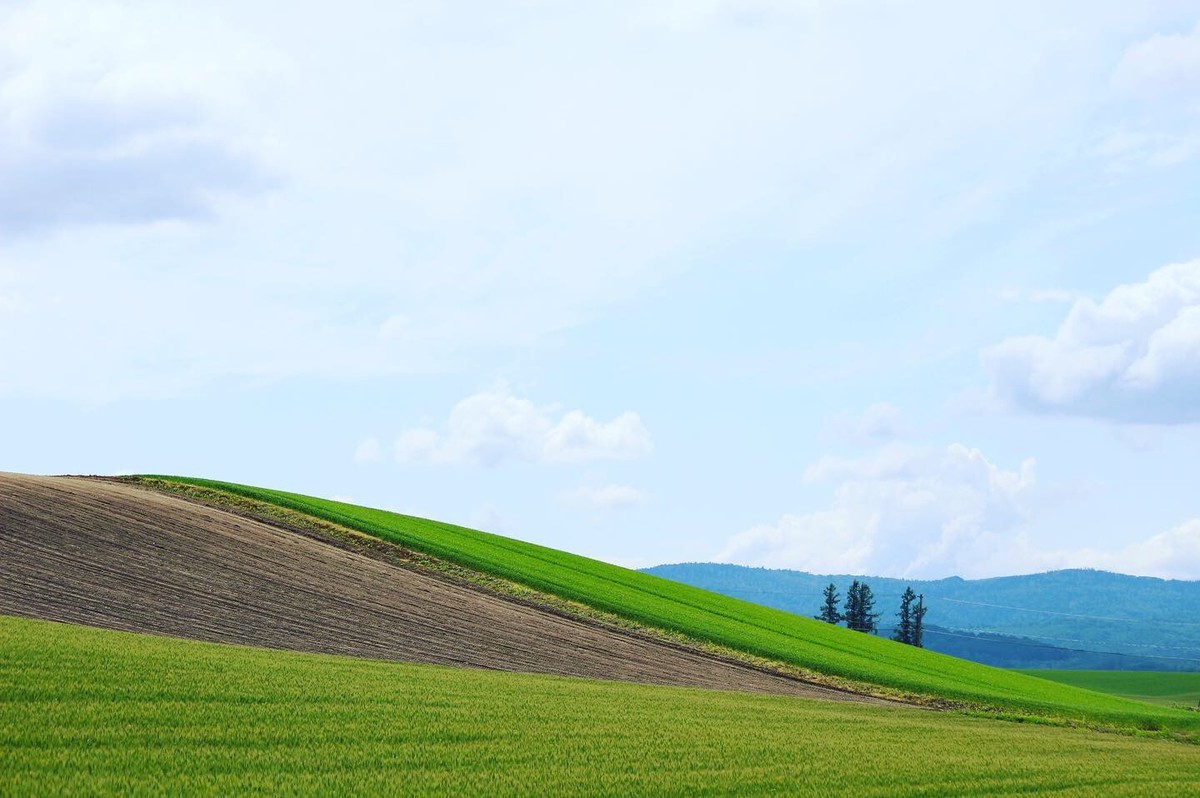 f:id:asacafe:20190709150313j:plain f:id:asacafe:20190709150313j:plain