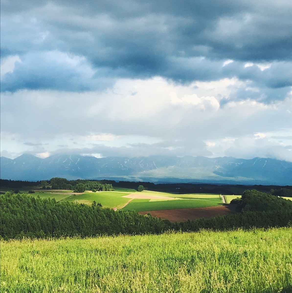 f:id:asacafe:20190709151852j:plain f:id:asacafe:20190709151852j:plain