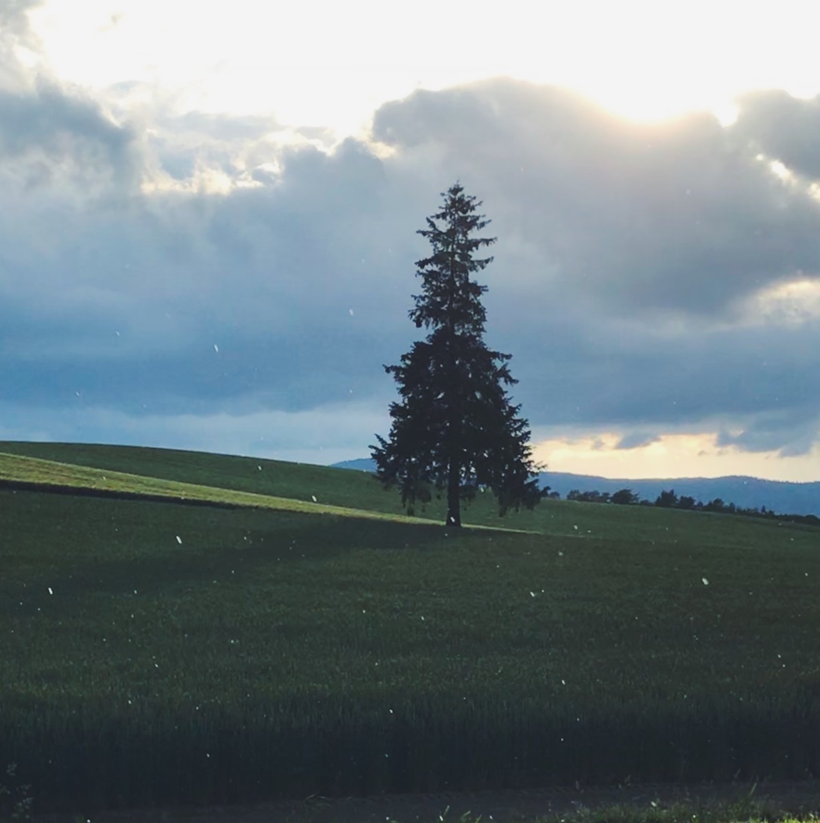 f:id:asacafe:20190709152614j:plain f:id:asacafe:20190709152614j:plain