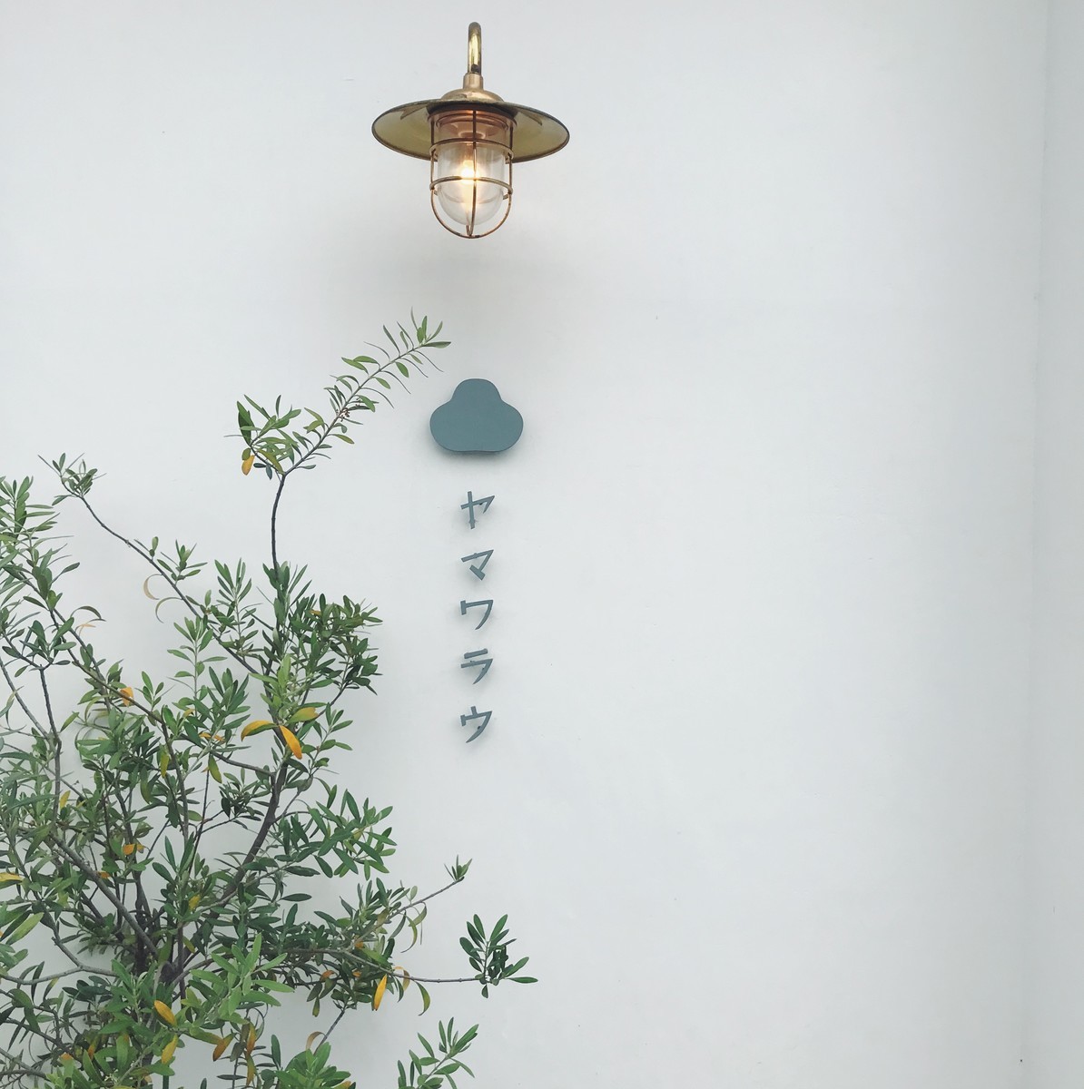 f:id:asacafe:20190709172642j:plain f:id:asacafe:20190709172642j:plain