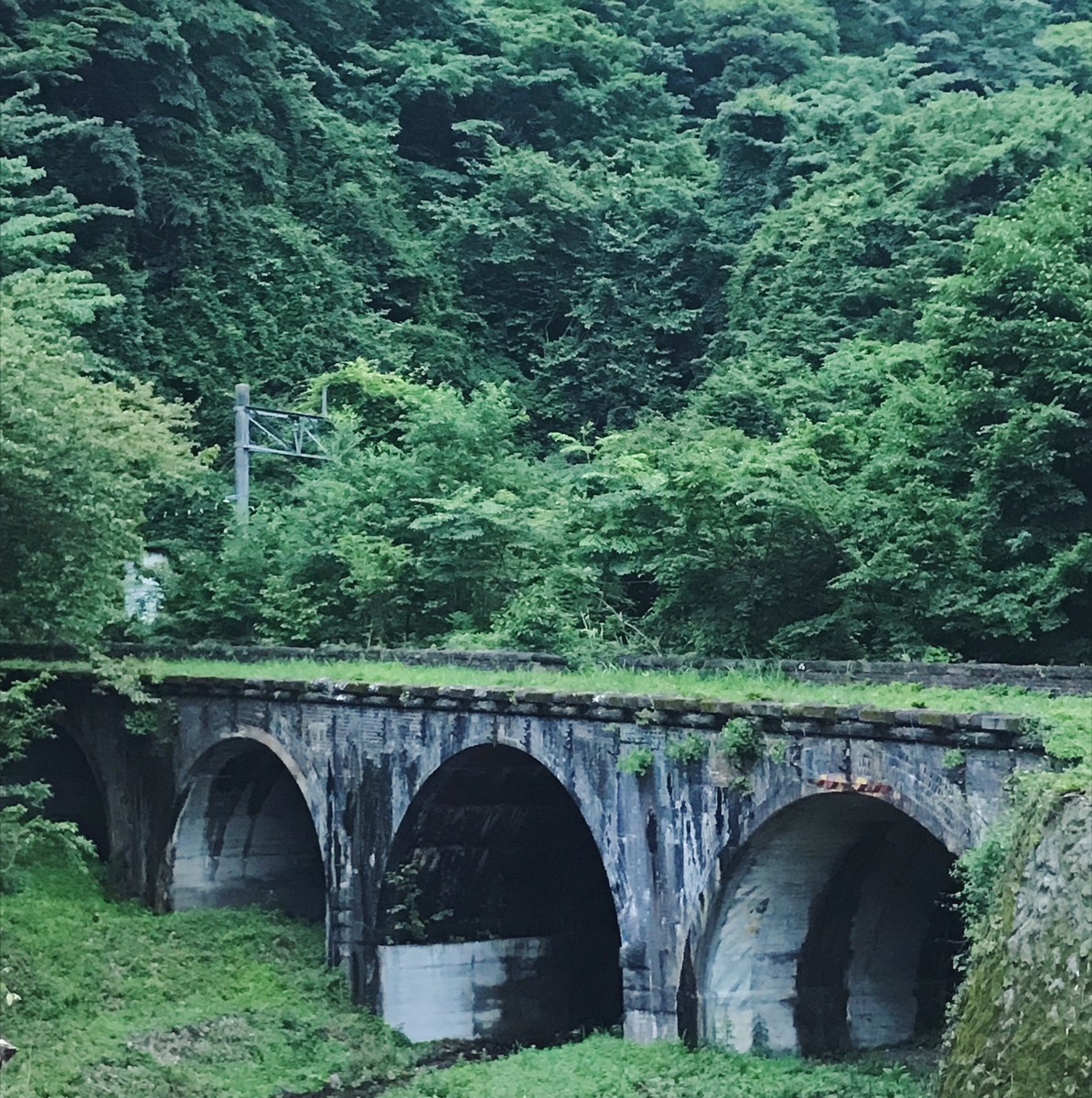 f:id:asacafe:20190709201815j:plain f:id:asacafe:20190709201815j:plain