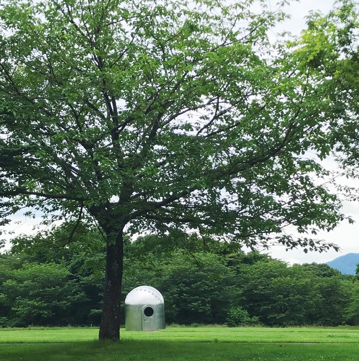 f:id:asacafe:20190711154708j:plain f:id:asacafe:20190711154708j:plain