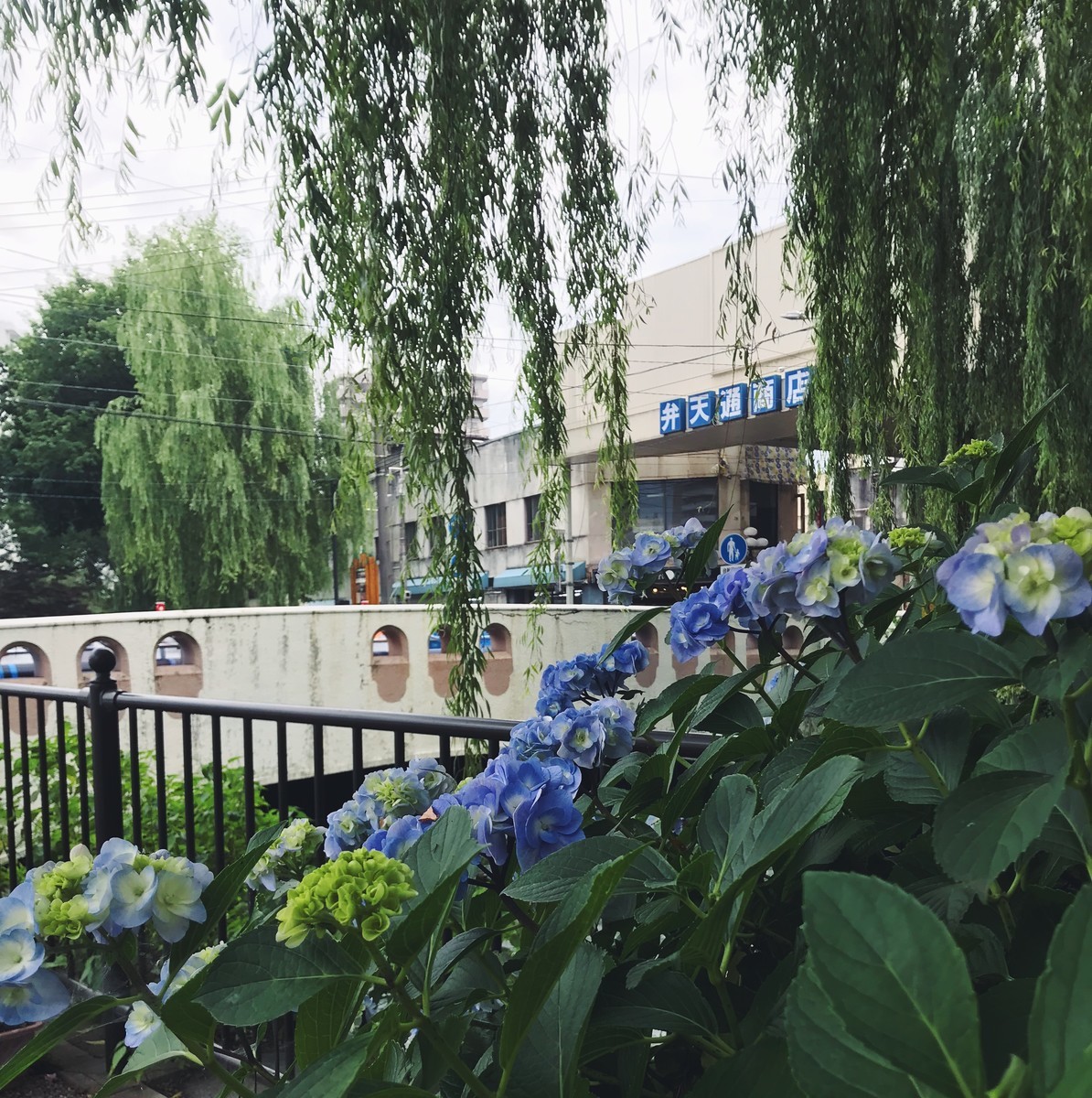f:id:asacafe:20190713205417j:plain f:id:asacafe:20190713205417j:plain