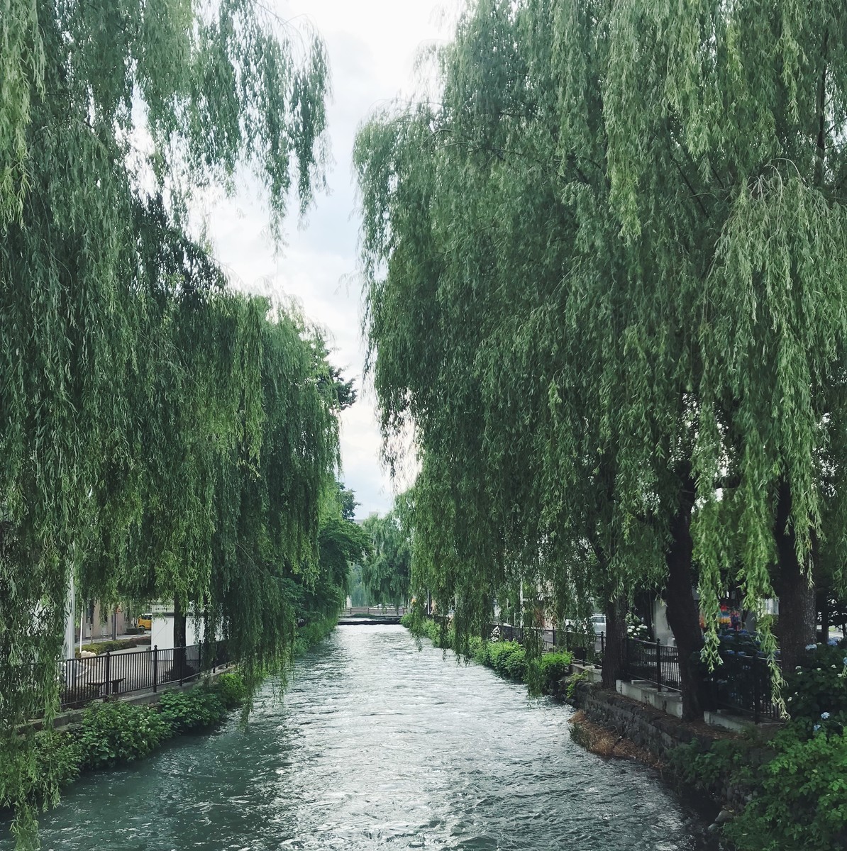 f:id:asacafe:20190713205529j:plain f:id:asacafe:20190713205529j:plain