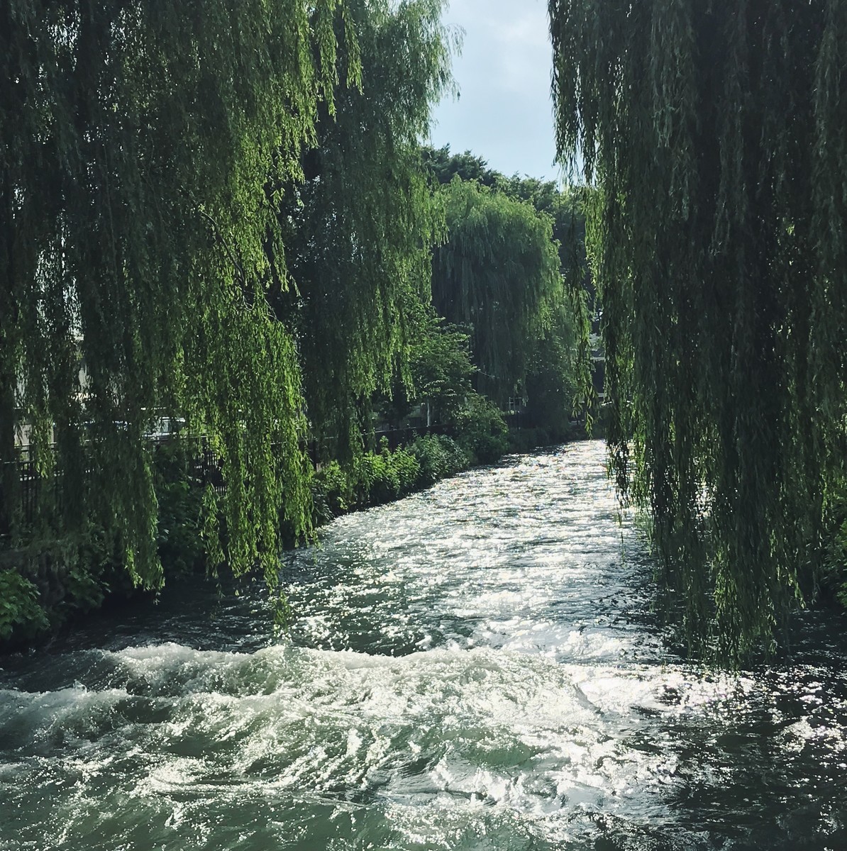 f:id:asacafe:20190713205624j:plain f:id:asacafe:20190713205624j:plain