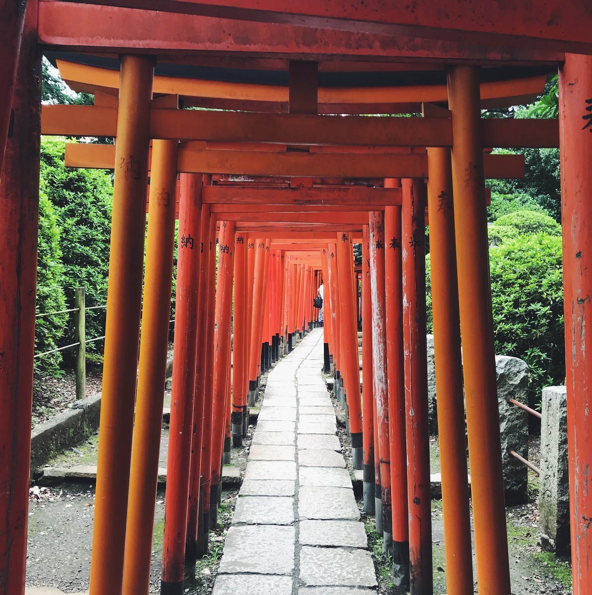 f:id:asacafe:20190714182200j:plain f:id:asacafe:20190714182200j:plain