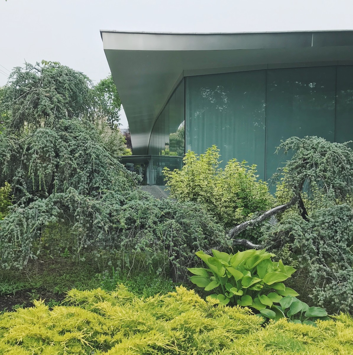 f:id:asacafe:20190716124812j:plain f:id:asacafe:20190716124812j:plain