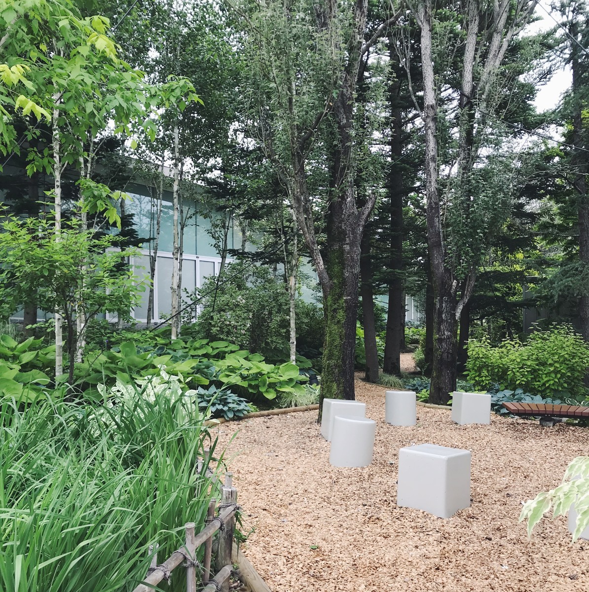 f:id:asacafe:20190716125559j:plain f:id:asacafe:20190716125559j:plain