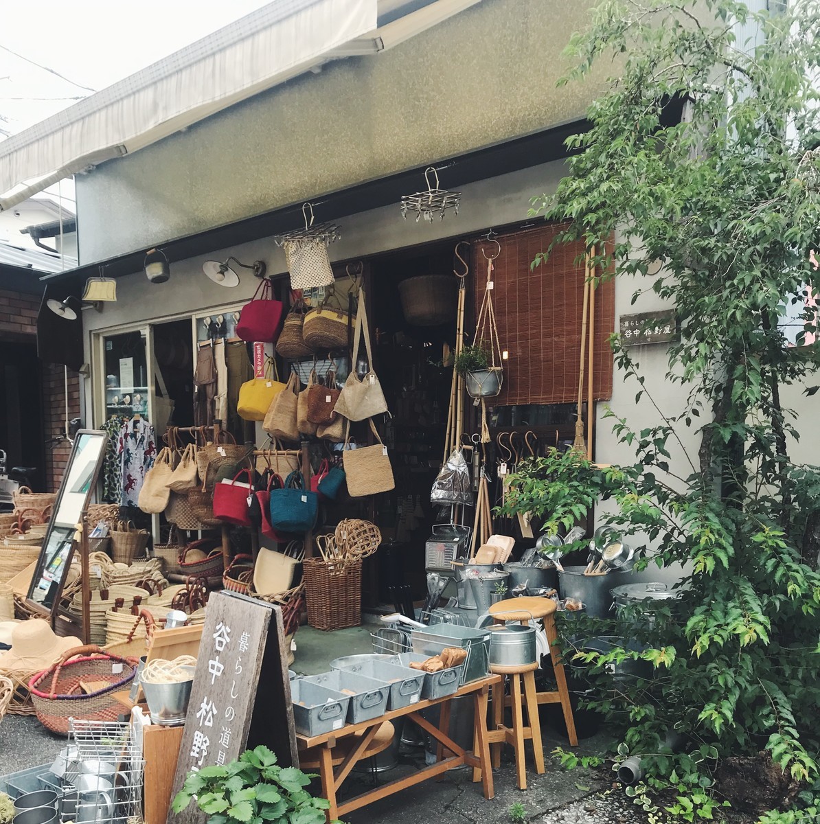 f:id:asacafe:20190719163504j:plain f:id:asacafe:20190719163504j:plain
