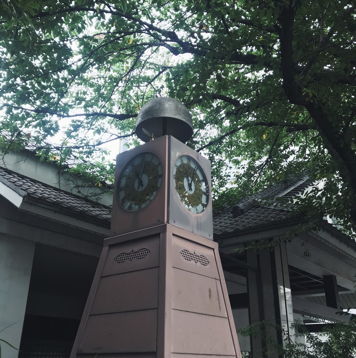 f:id:asacafe:20190719163829j:plain f:id:asacafe:20190719163829j:plain
