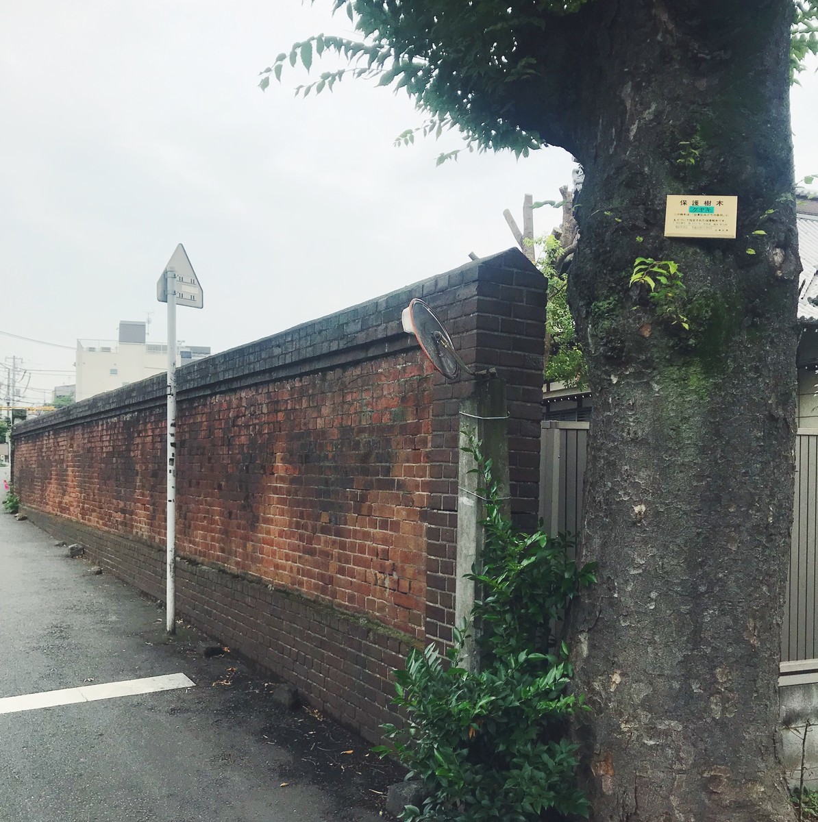 f:id:asacafe:20190719164137j:plain f:id:asacafe:20190719164137j:plain