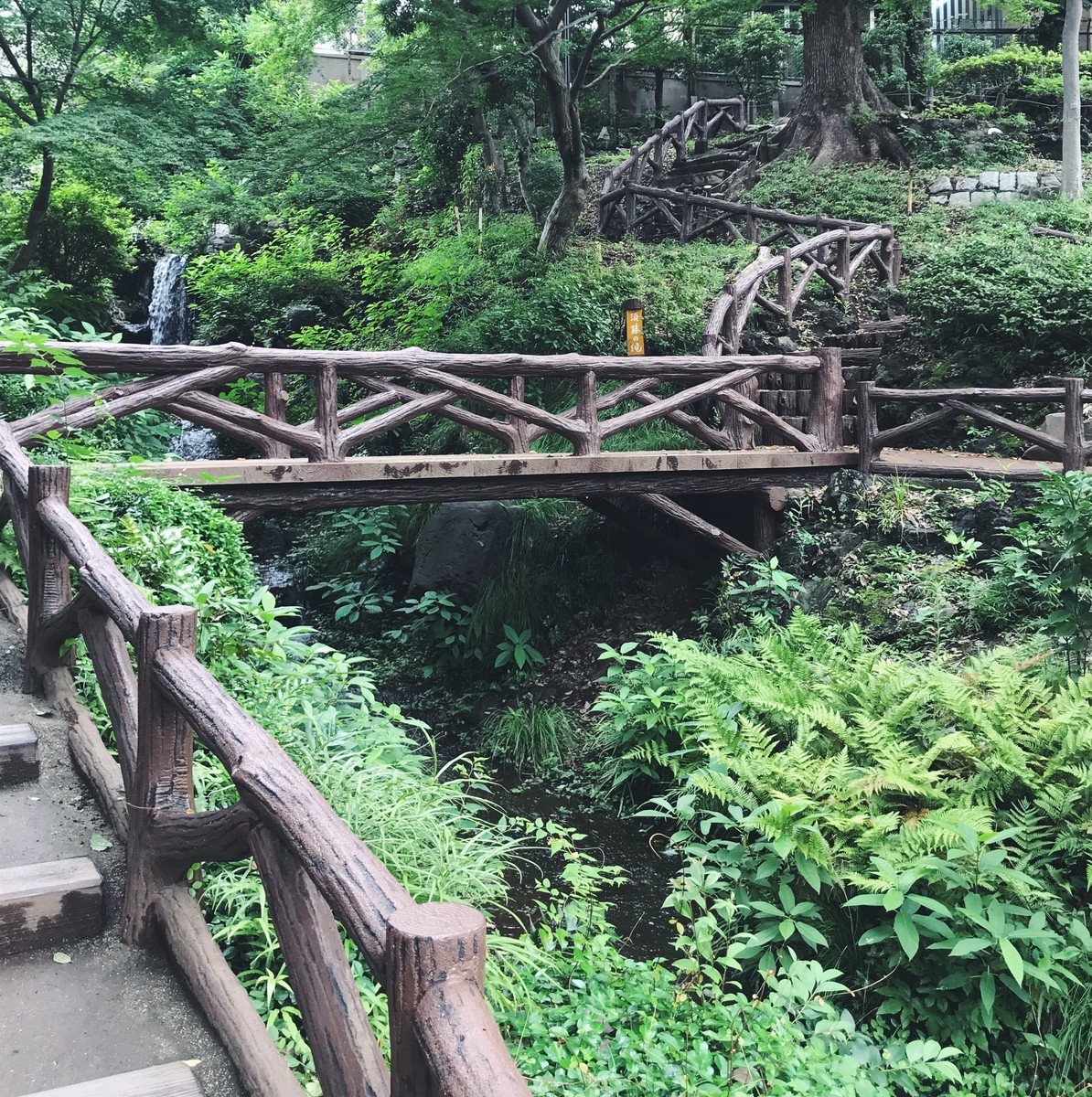 f:id:asacafe:20190721041818j:plain f:id:asacafe:20190721041818j:plain