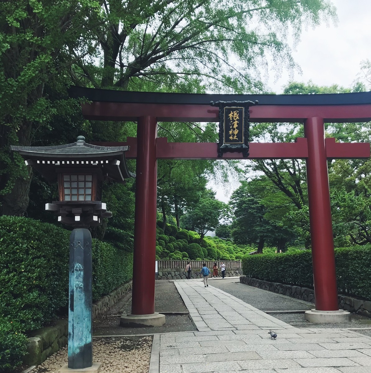 f:id:asacafe:20190722091830j:plain f:id:asacafe:20190722091830j:plain
