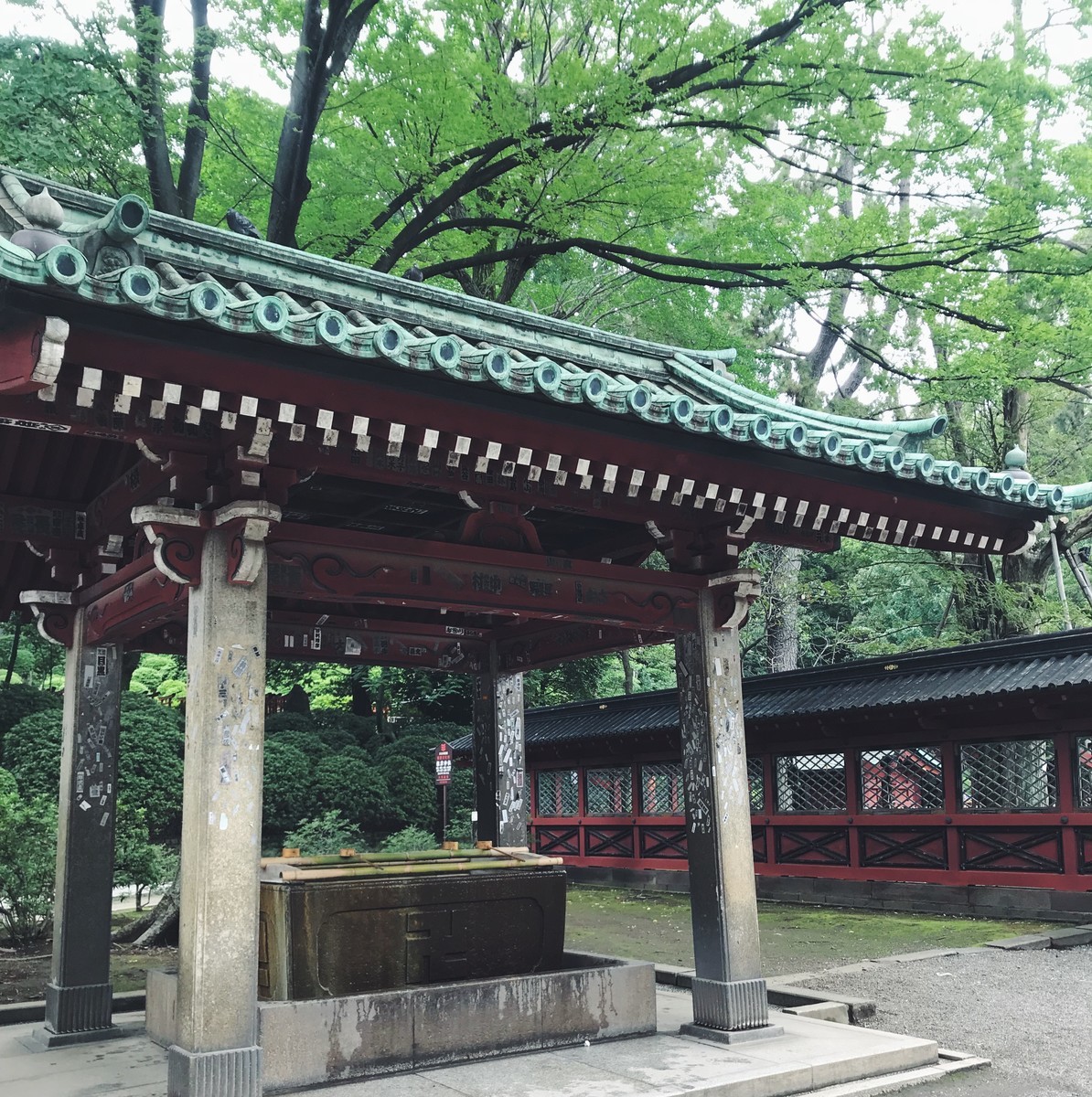 f:id:asacafe:20190722091911j:plain f:id:asacafe:20190722091911j:plain