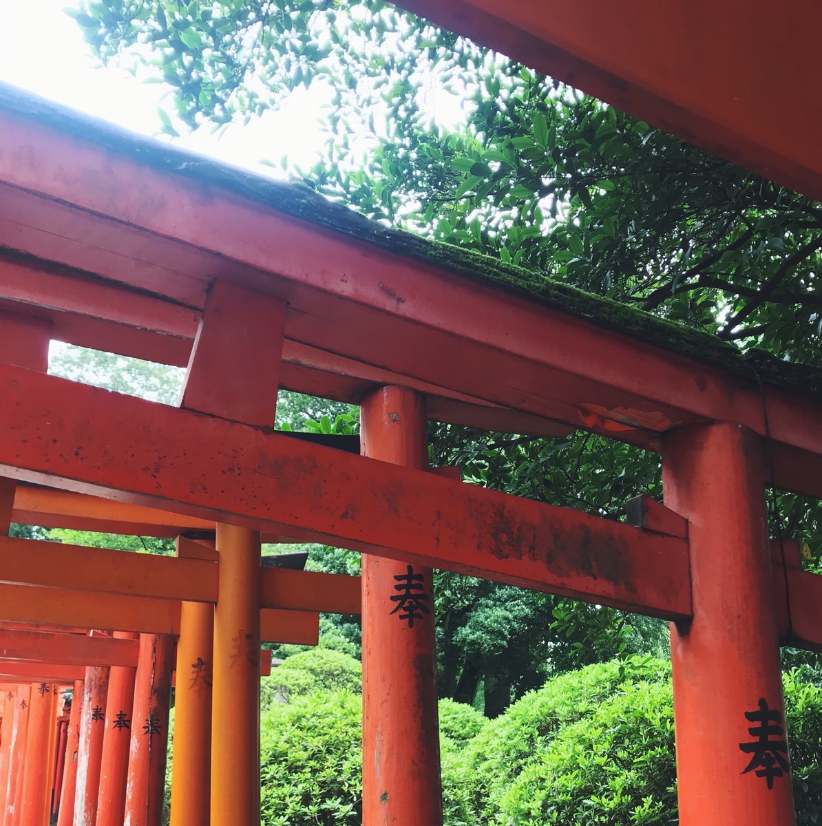 f:id:asacafe:20190722093202j:plain f:id:asacafe:20190722093202j:plain