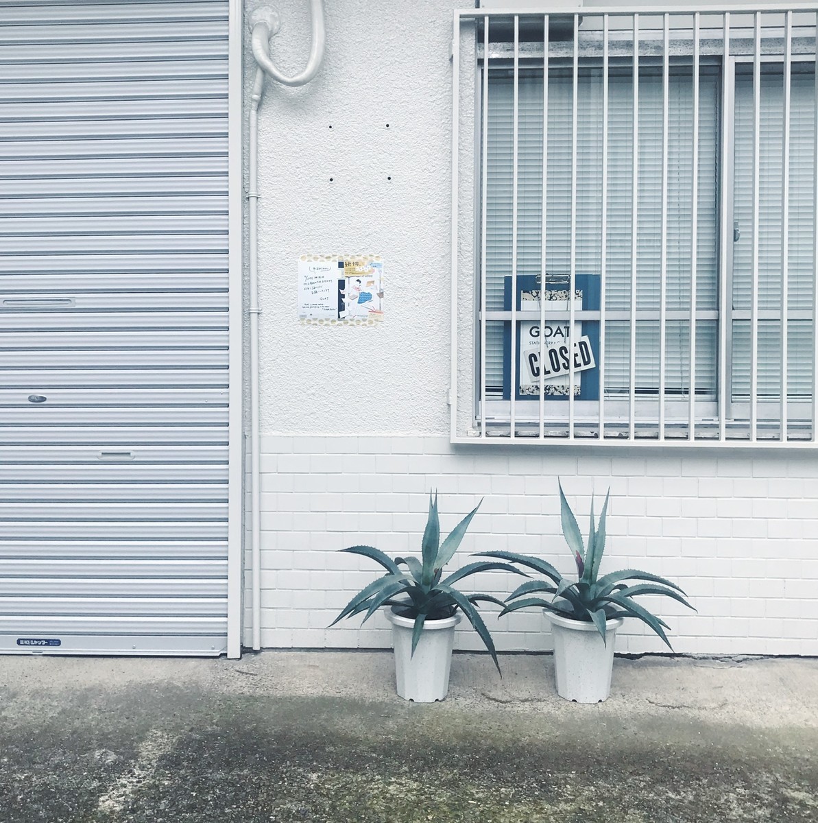 f:id:asacafe:20190722140159j:plain f:id:asacafe:20190722140159j:plain