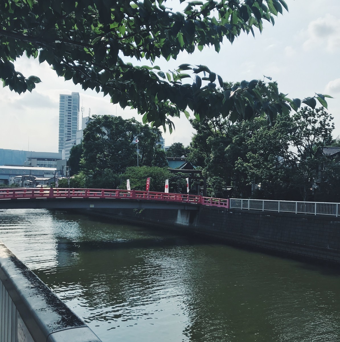 f:id:asacafe:20190801095400j:plain f:id:asacafe:20190801095400j:plain