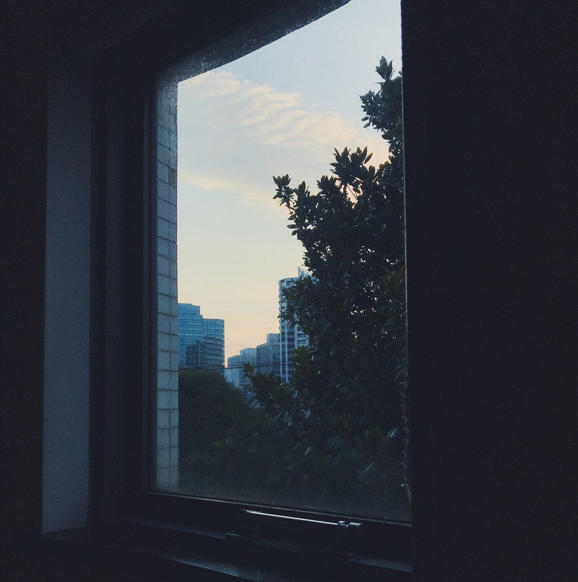 f:id:asacafe:20190801100344j:plain f:id:asacafe:20190801100344j:plain