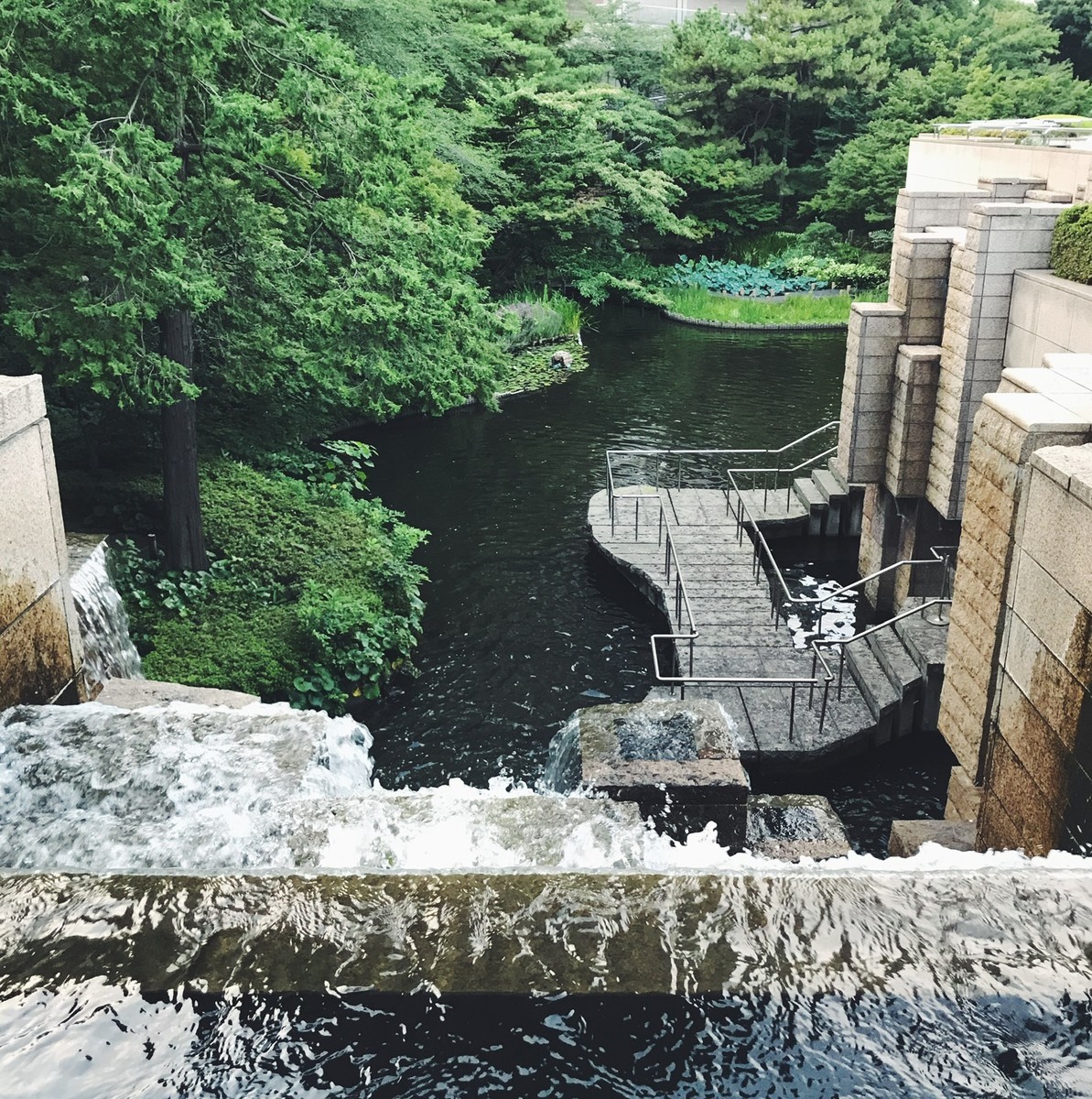 f:id:asacafe:20190801101511j:plain f:id:asacafe:20190801101511j:plain