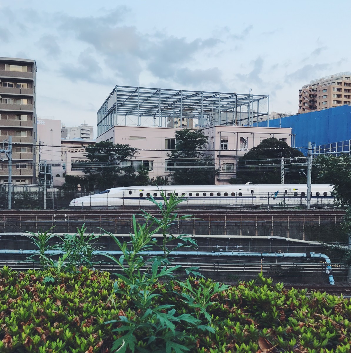 f:id:asacafe:20190801101614j:plain f:id:asacafe:20190801101614j:plain