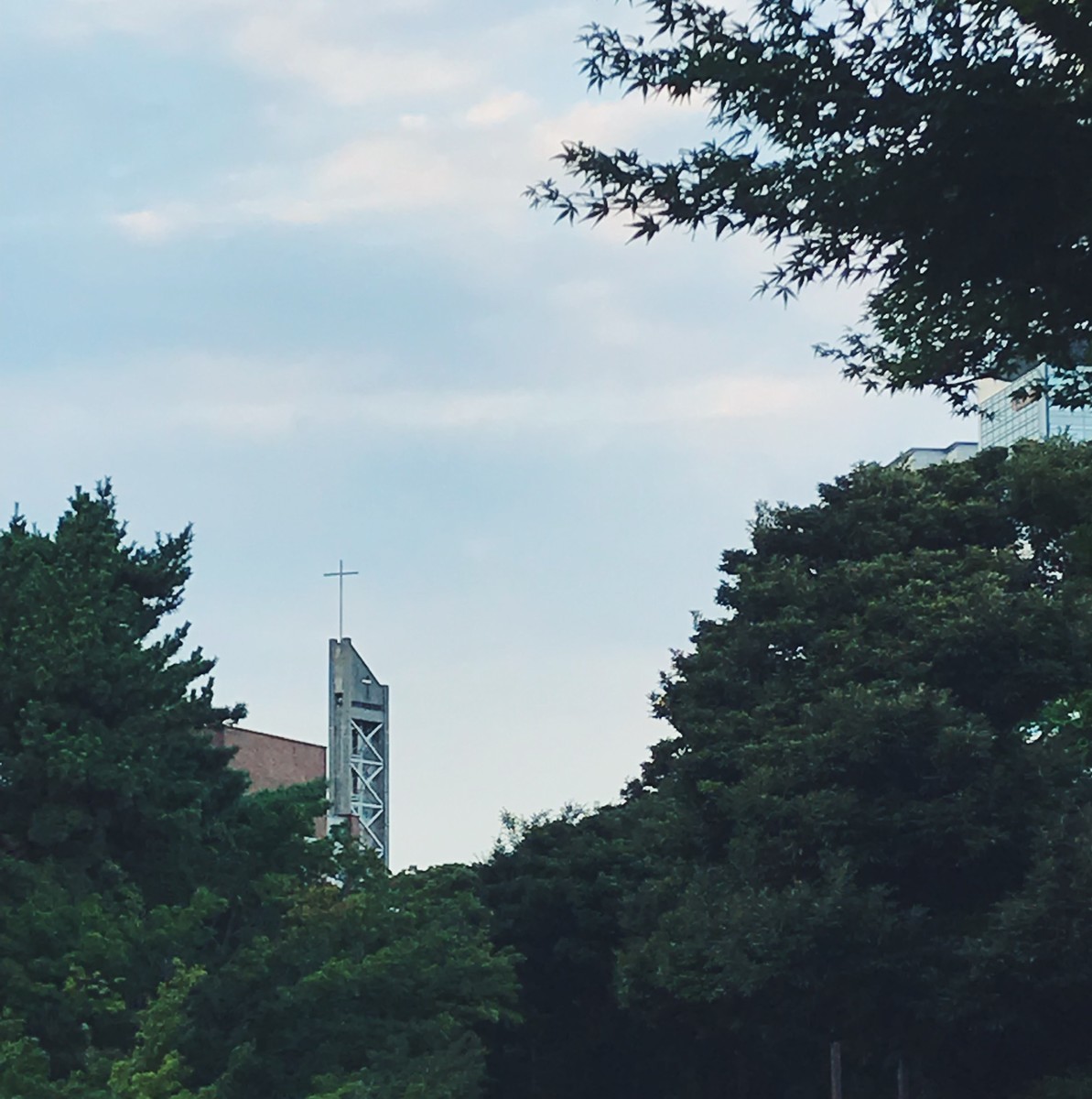 f:id:asacafe:20190801101652j:plain f:id:asacafe:20190801101652j:plain
