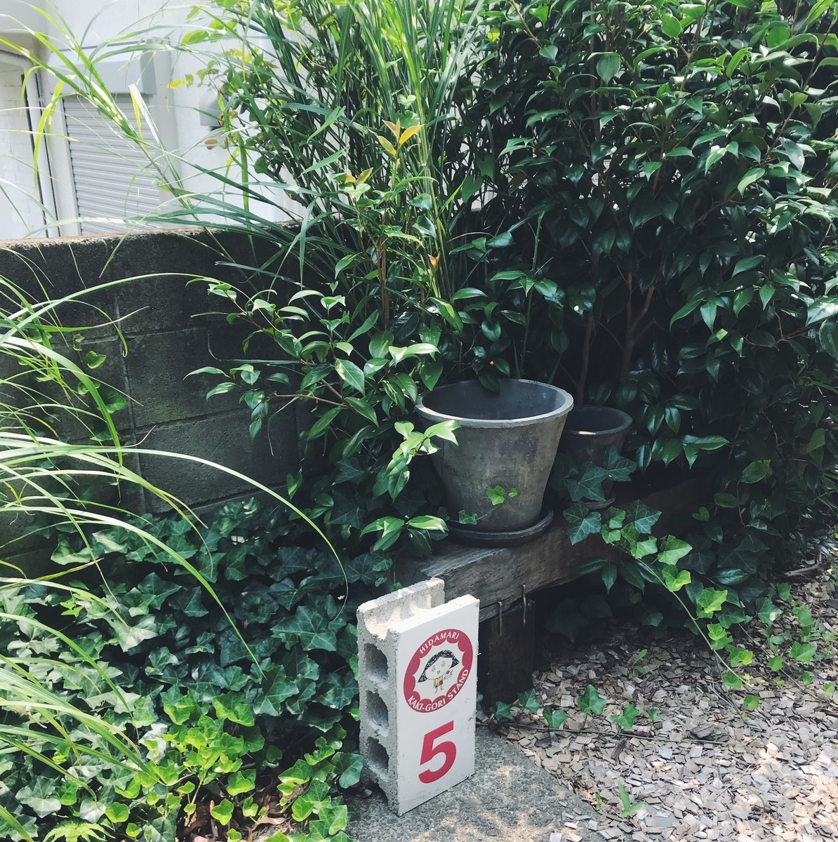 f:id:asacafe:20190805124405j:plain f:id:asacafe:20190805124405j:plain