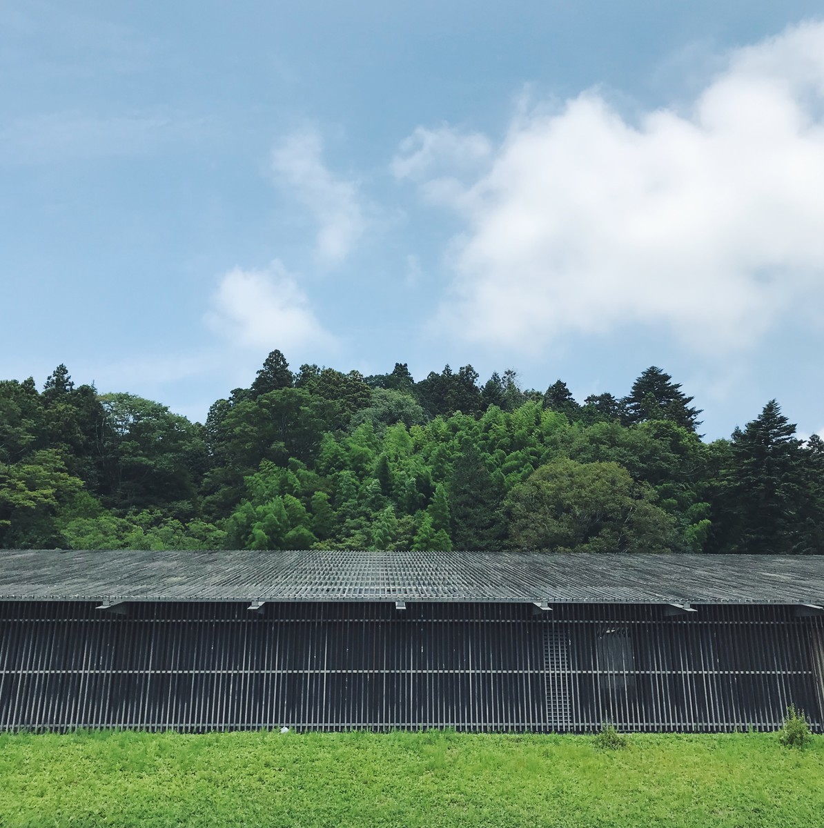 f:id:asacafe:20190813045026j:plain f:id:asacafe:20190813045026j:plain