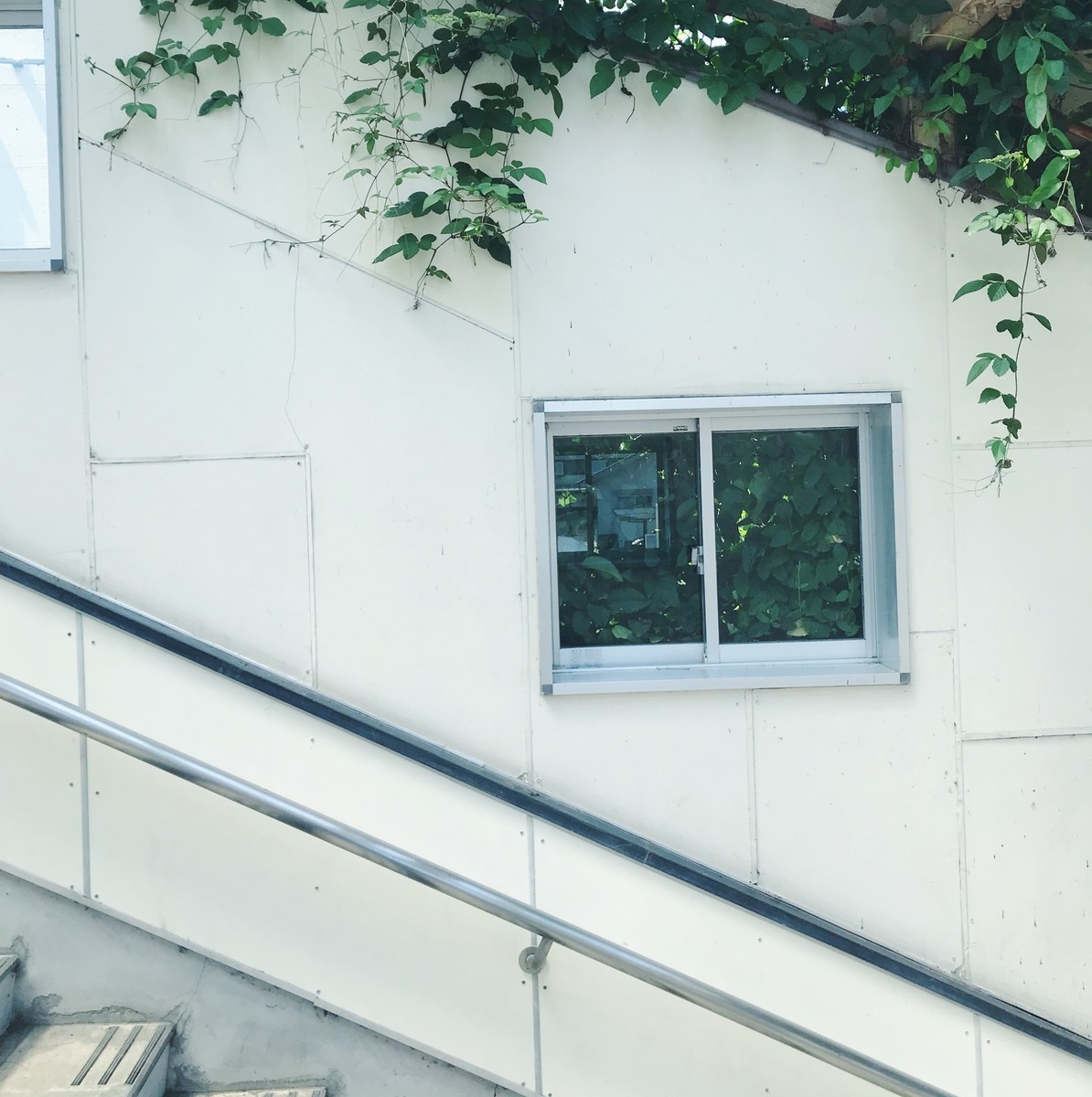 f:id:asacafe:20190814012453j:plain f:id:asacafe:20190814012453j:plain