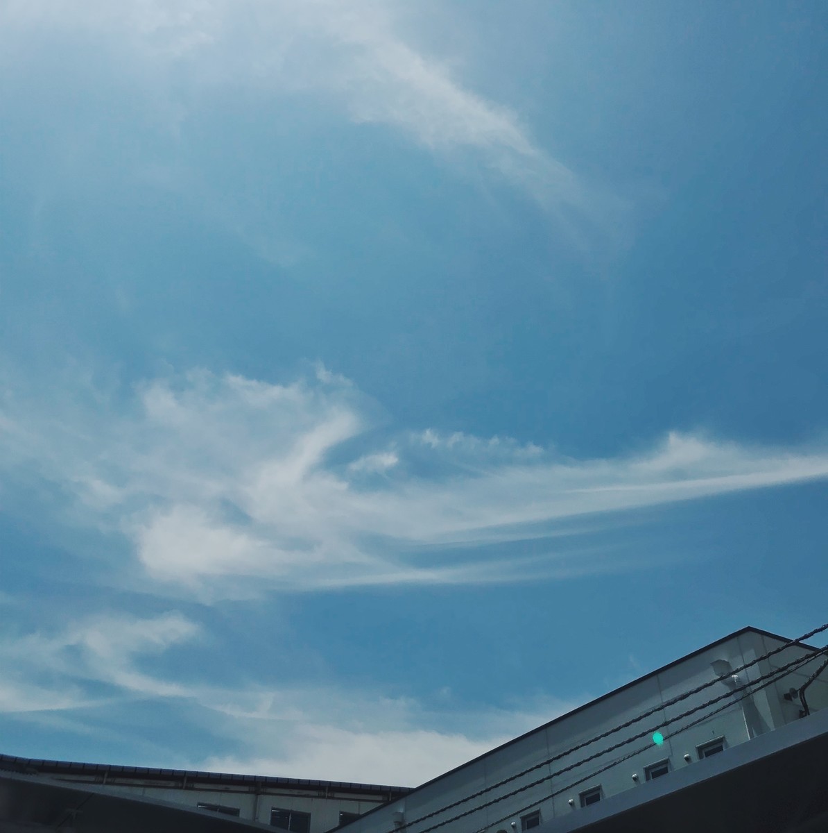 f:id:asacafe:20190814013025j:plain f:id:asacafe:20190814013025j:plain