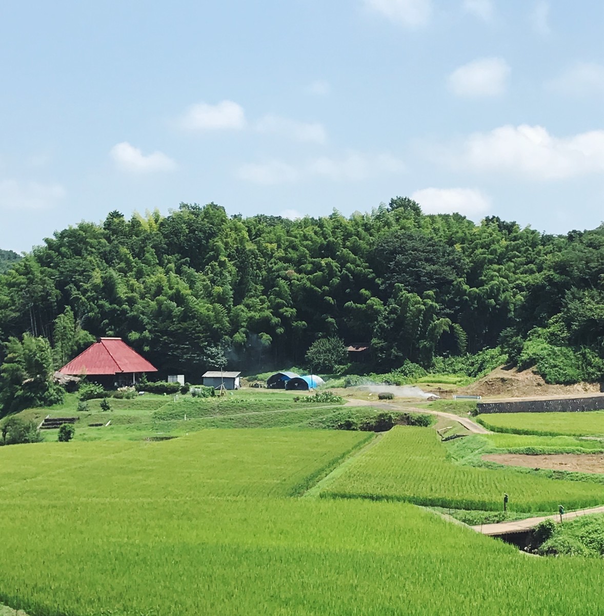 f:id:asacafe:20190816112511j:plain f:id:asacafe:20190816112511j:plain