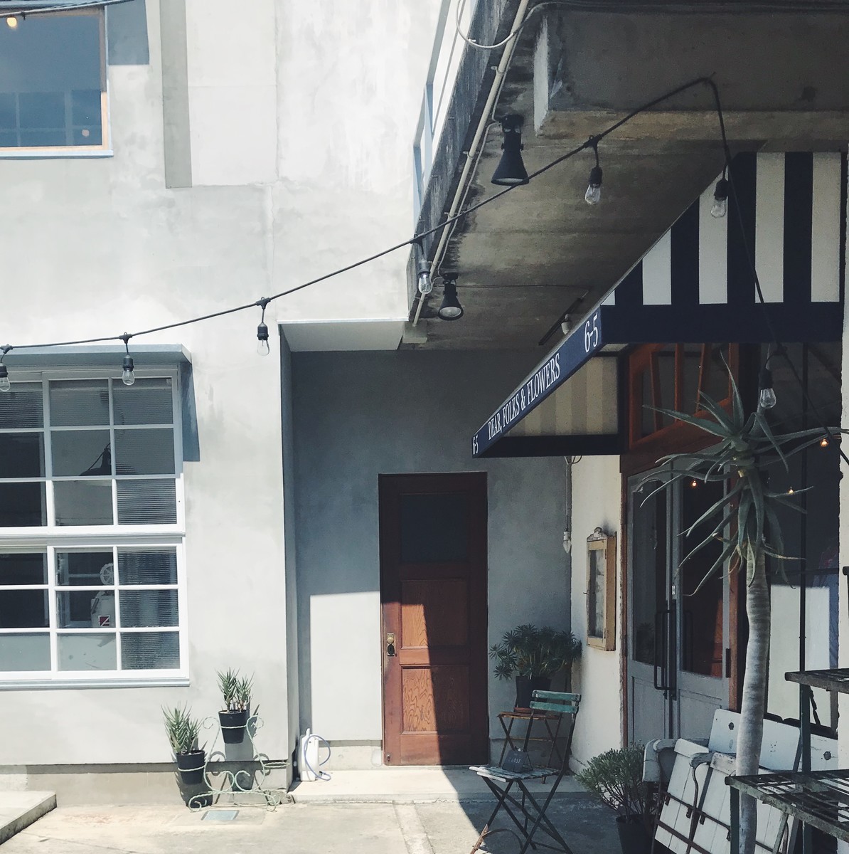 f:id:asacafe:20190819204712j:plain f:id:asacafe:20190819204712j:plain