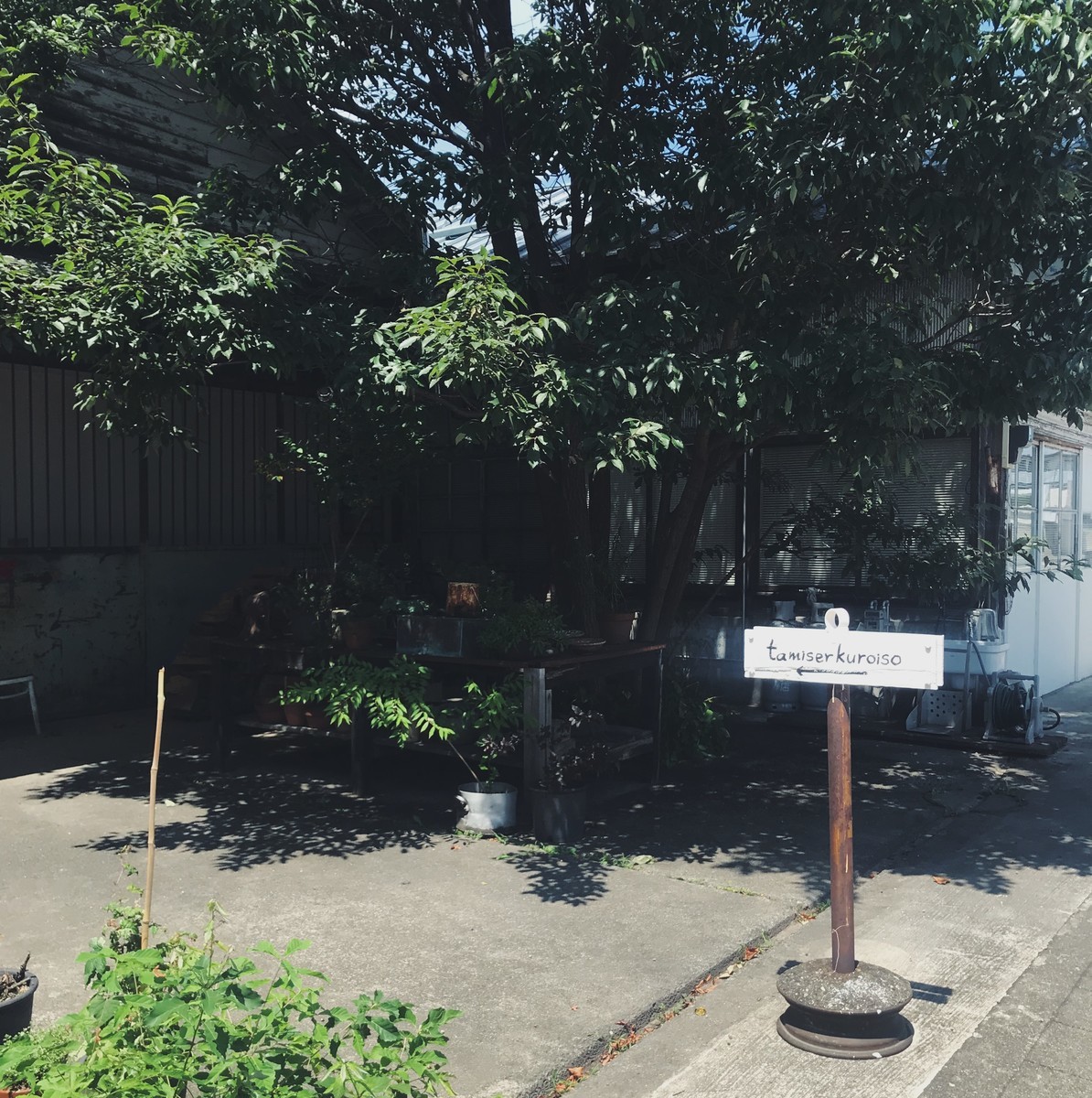 f:id:asacafe:20190820162944j:plain f:id:asacafe:20190820162944j:plain