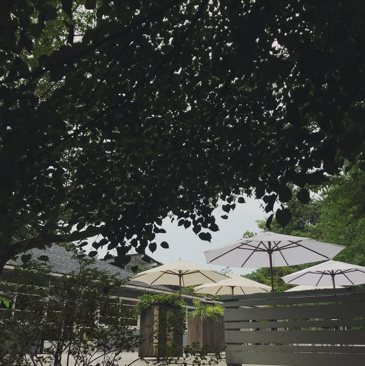 f:id:asacafe:20190820233609j:plain f:id:asacafe:20190820233609j:plain
