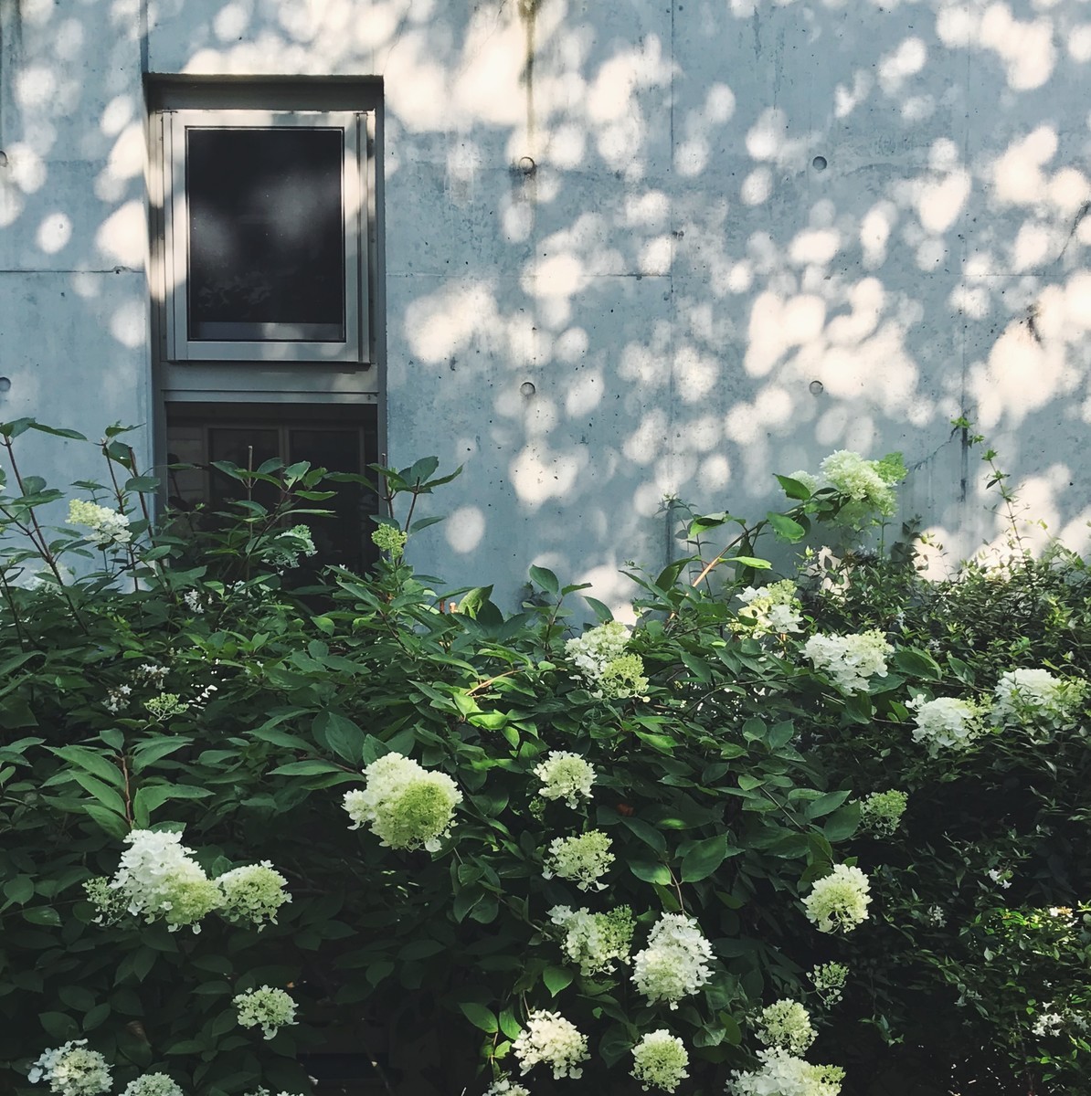 f:id:asacafe:20190821154444j:plain f:id:asacafe:20190821154444j:plain