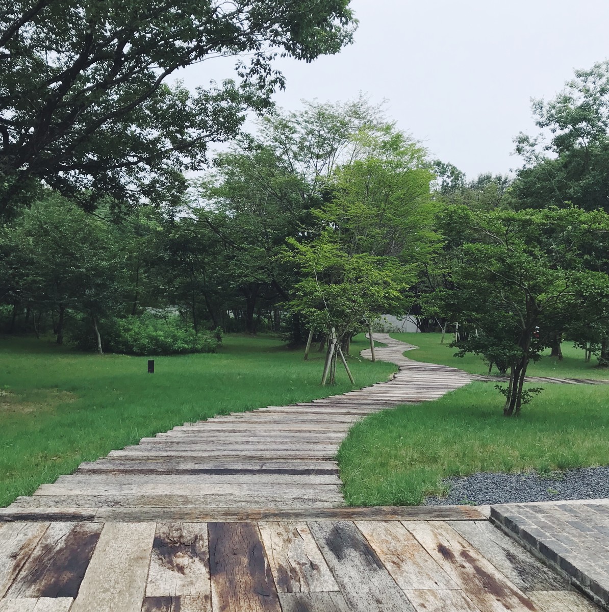 f:id:asacafe:20190825064517j:plain f:id:asacafe:20190825064517j:plain