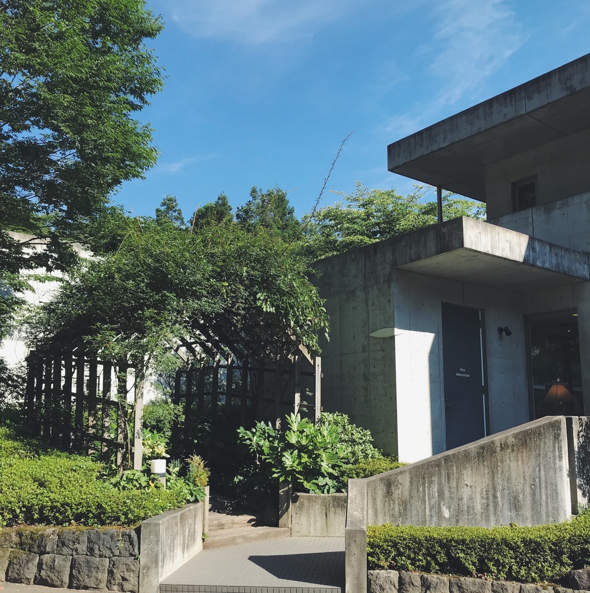 f:id:asacafe:20190825075201j:plain f:id:asacafe:20190825075201j:plain