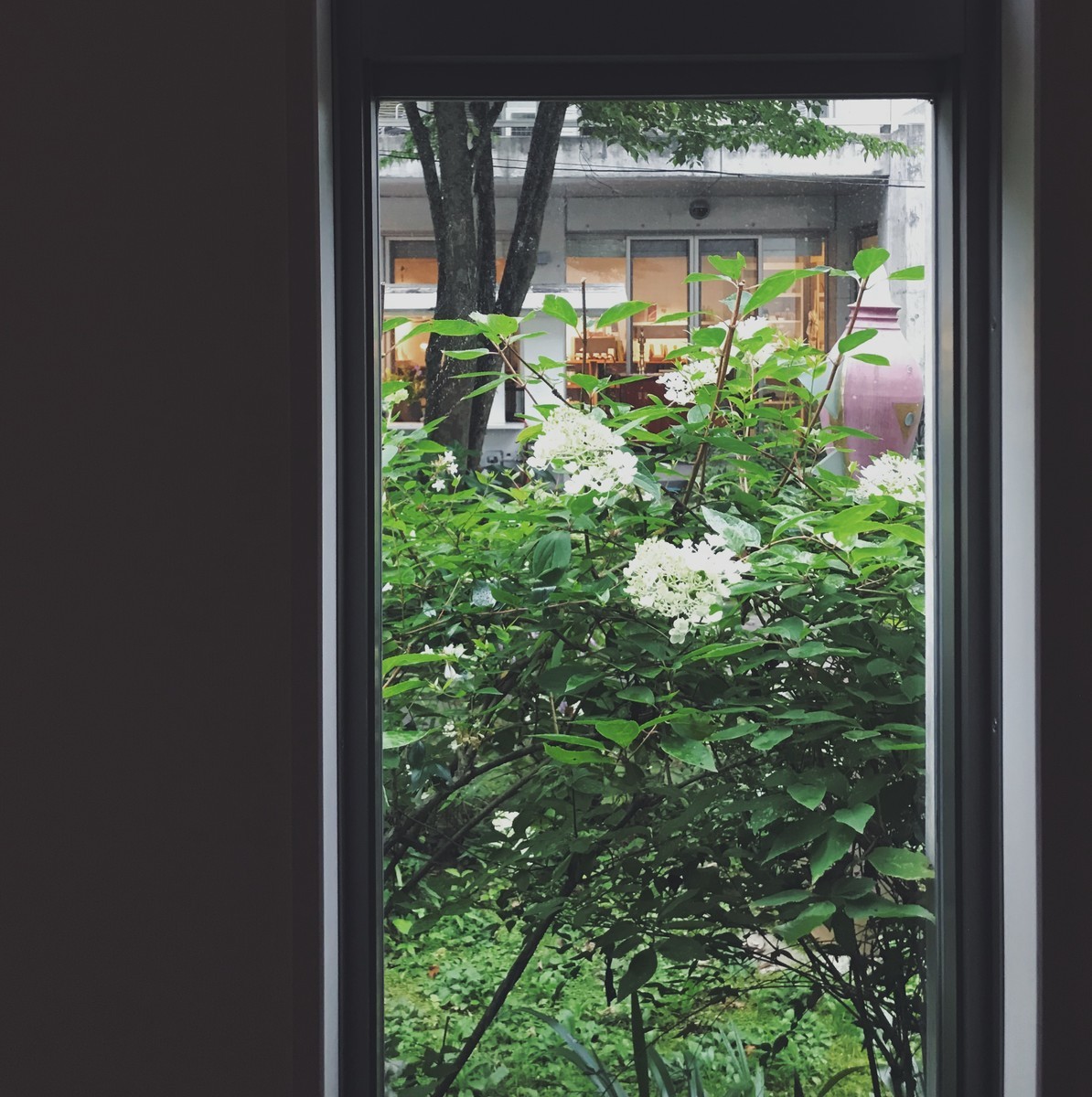f:id:asacafe:20190826075011j:plain f:id:asacafe:20190826075011j:plain