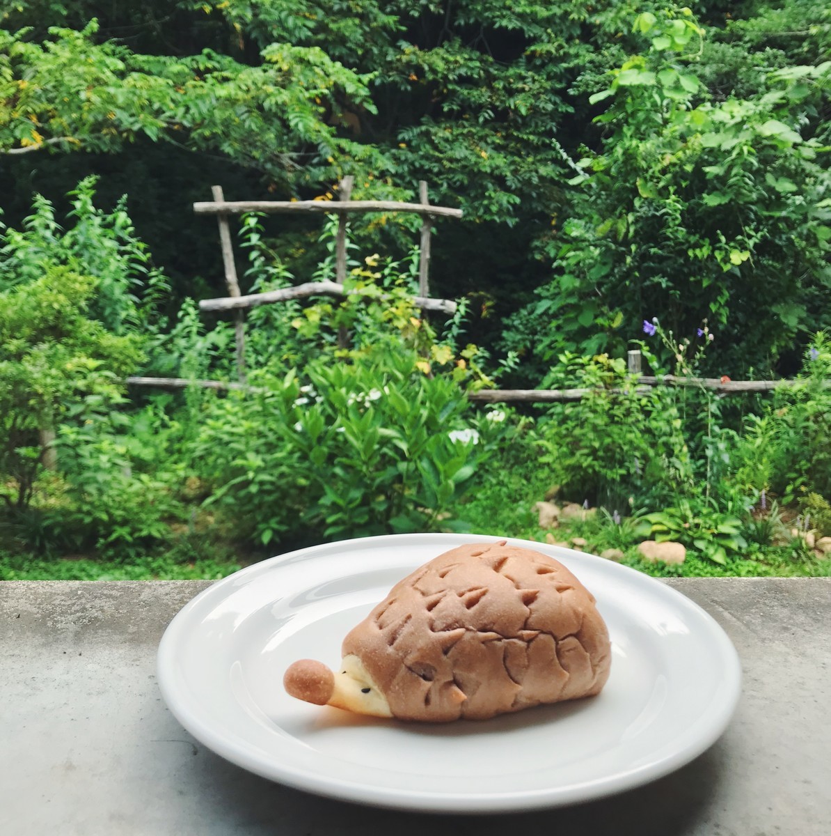f:id:asacafe:20190828090924j:plain f:id:asacafe:20190828090924j:plain