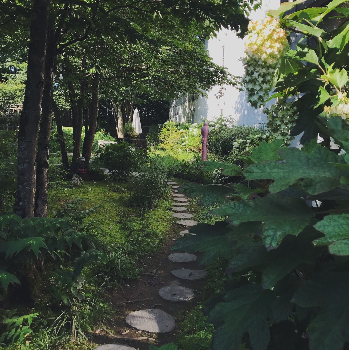 f:id:asacafe:20190828092237j:plain f:id:asacafe:20190828092237j:plain