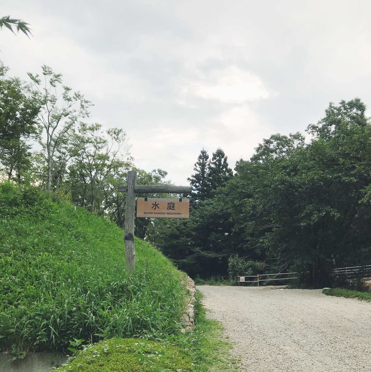 f:id:asacafe:20190828124817j:plain f:id:asacafe:20190828124817j:plain