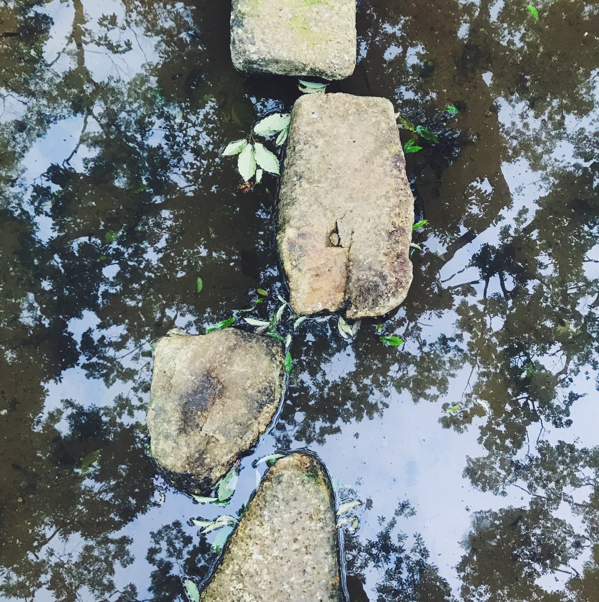 f:id:asacafe:20190828125322j:plain f:id:asacafe:20190828125322j:plain