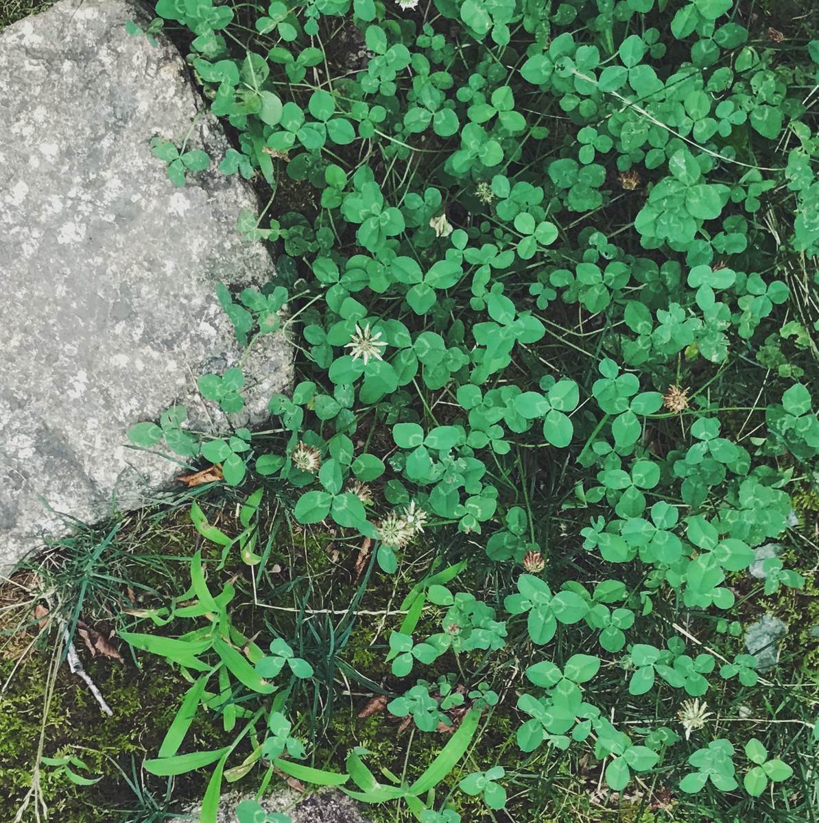 f:id:asacafe:20190829123529j:plain f:id:asacafe:20190829123529j:plain