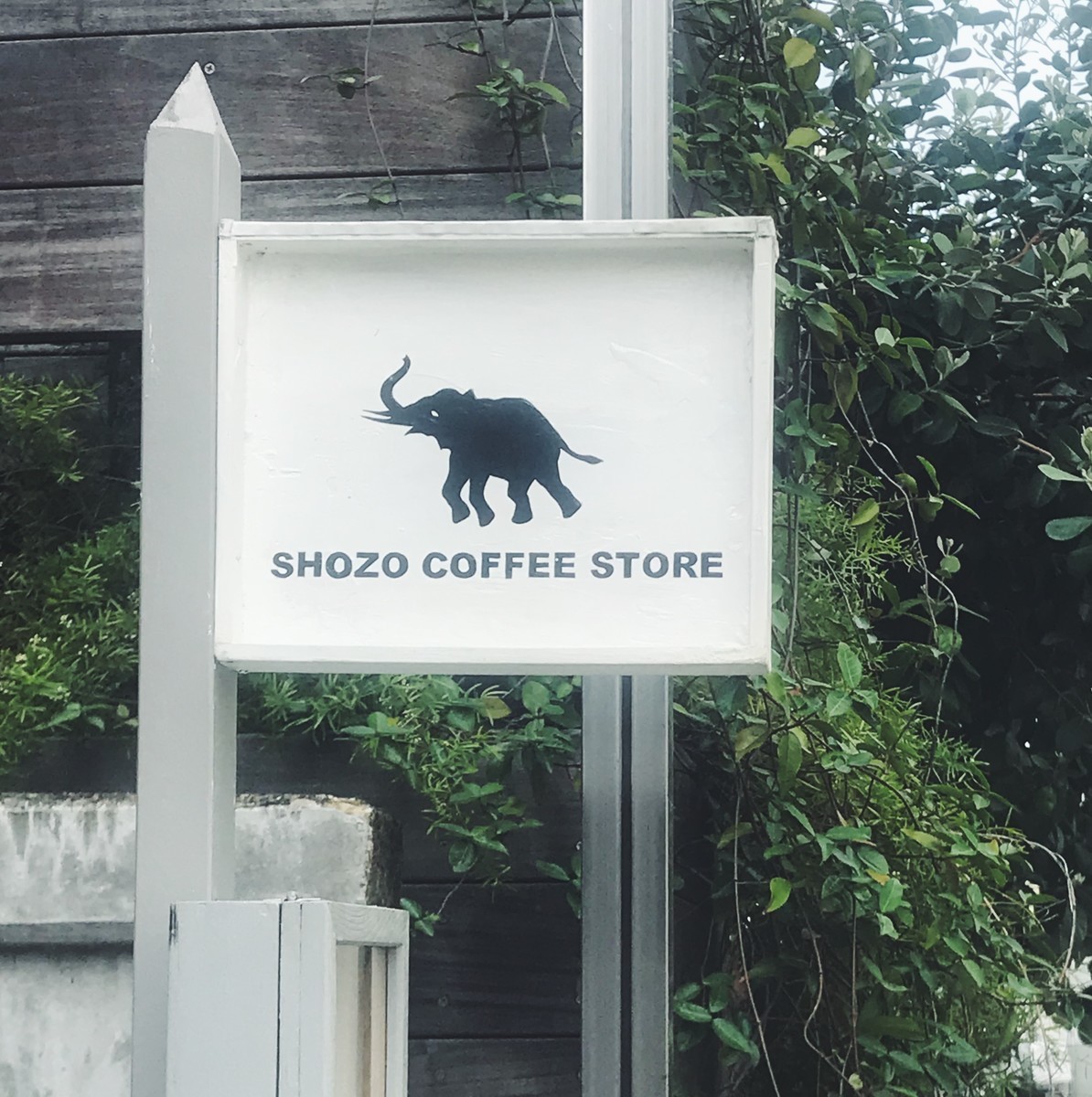 f:id:asacafe:20190830140457j:plain f:id:asacafe:20190830140457j:plain