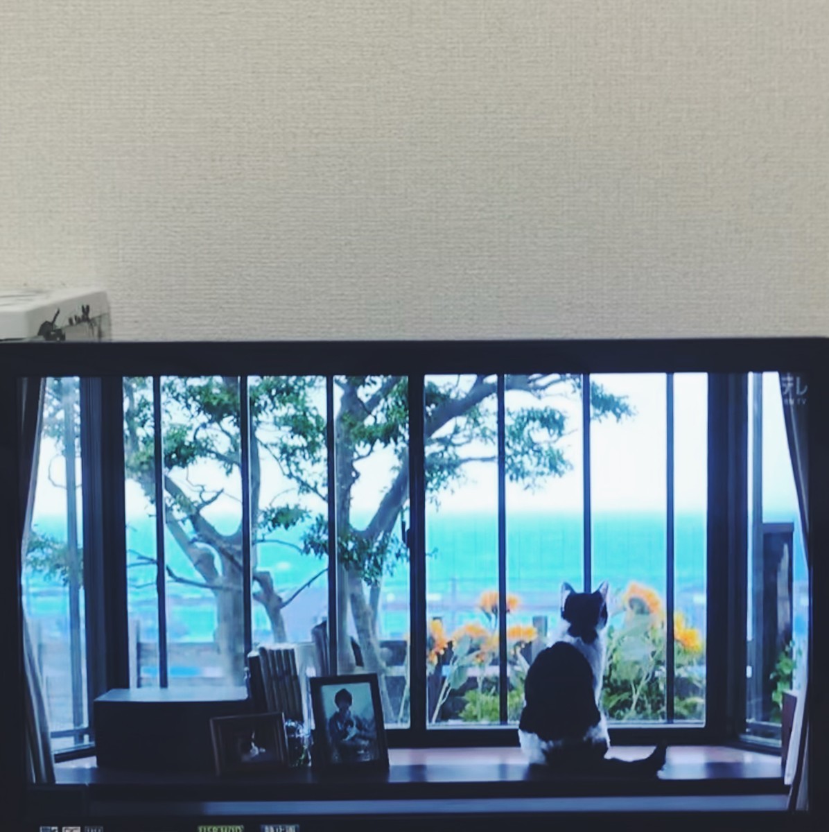 f:id:asacafe:20190904205109j:plain f:id:asacafe:20190904205109j:plain