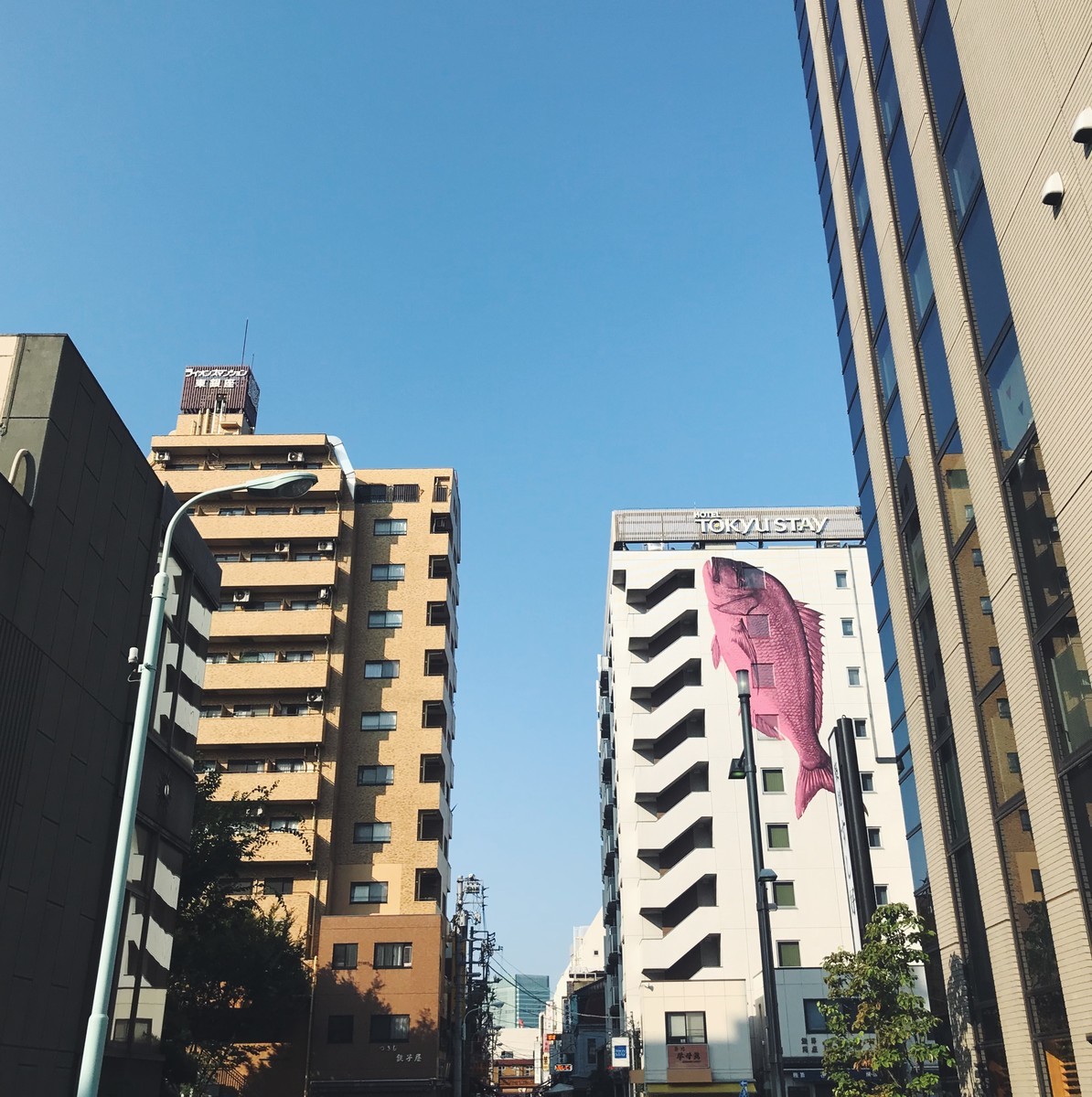 f:id:asacafe:20190905045116j:plain f:id:asacafe:20190905045116j:plain