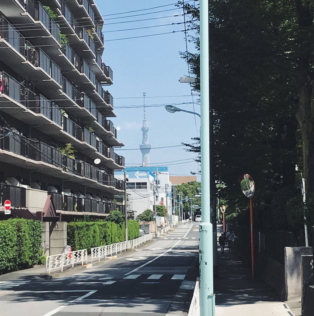 f:id:asacafe:20190906073407j:plain f:id:asacafe:20190906073407j:plain